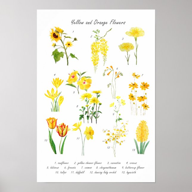 Poster collection de fleurs jaune et orange (Devant)