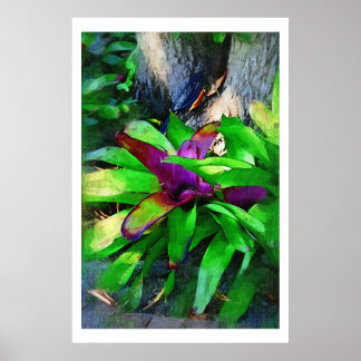 Poster Collection de peinture à l'huile de bromeliades tr