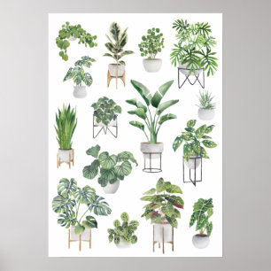 Poster Collection de Plantes pointillés 5