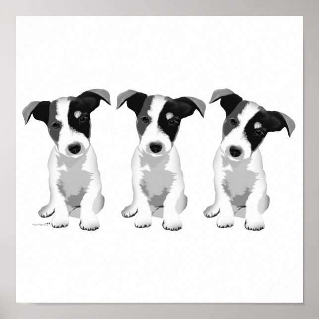 Poster Collection Design Roseplatine® (Devant)