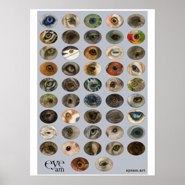 Poster Collection EyeAmArt d'yeux animaux en voie de disp (Devant)