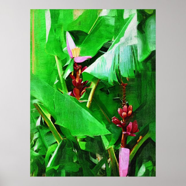 Poster Collection Jardin Tropical en Velours Rose Banana  (Devant)