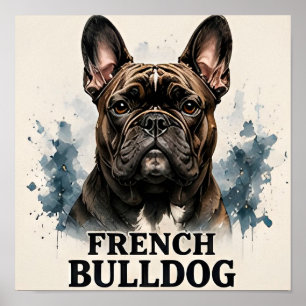 Poster Collection Luxueuse de Compagnons Bouledogue Franç