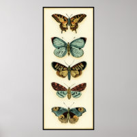 Collection Papillons par Chariklia Zarris