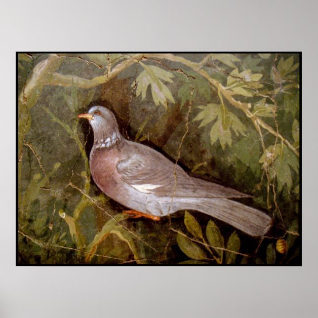POSTER COLLECTION POMPEII / DOVE DANS LE JARDIN (Devant)