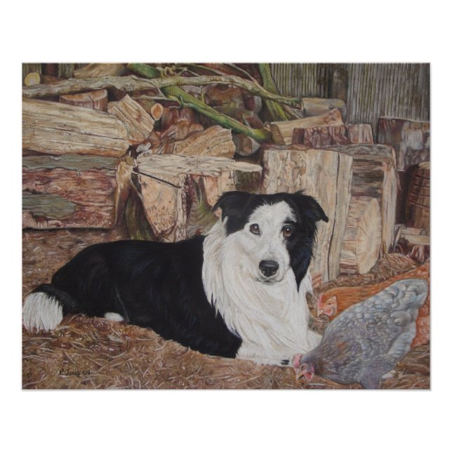 Poster collie chien à la frontière dans un hangar à bois  (Devant)