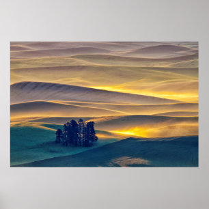 Poster Collines ondoyantes de blé au lever du soleil WA