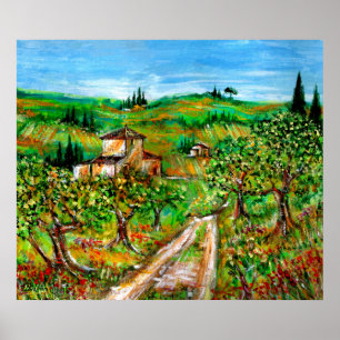 Poster Collines Vertes Et Oliviers Paysage Toscane