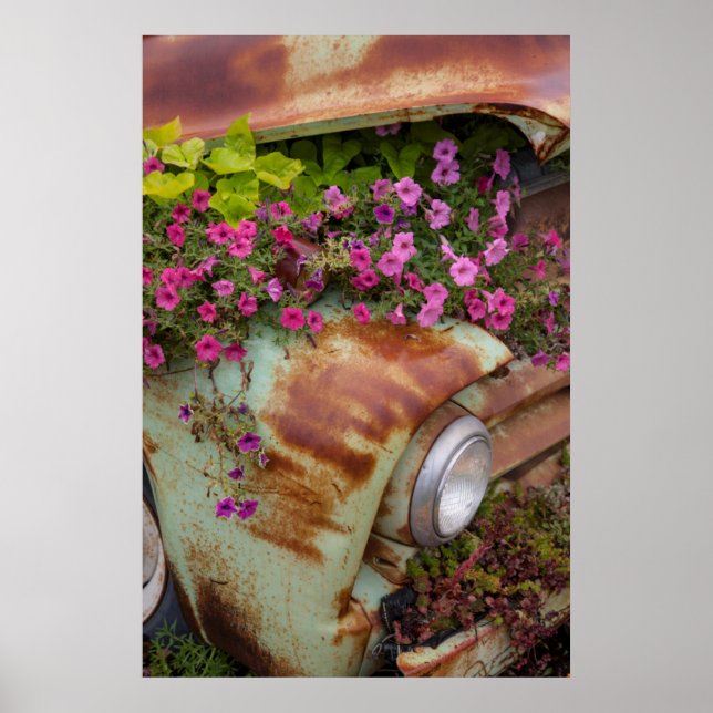 Poster Colombia (Devant)