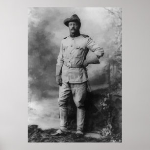Poster Colonel Teddy Roosevelt