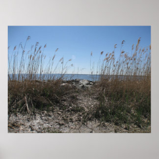 Poster Colonial Beach 1