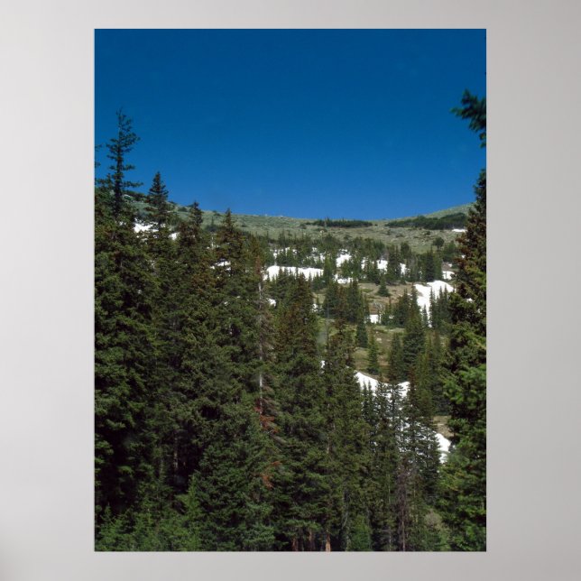 Poster Colorado (Devant)