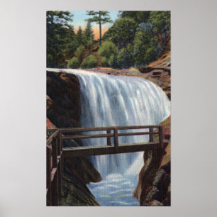 Poster Colorado Springs, CO - Ramona, Premier de 7