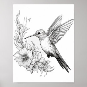 Poster Coloration adulte de colibri