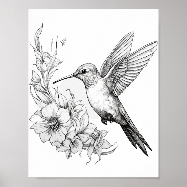 Poster Coloration adulte de colibri (Devant)