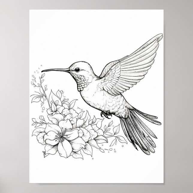 Poster Coloration adulte de colibri (Devant)