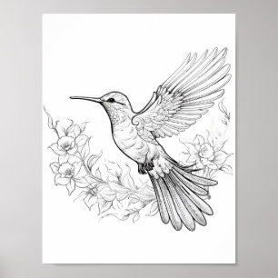 Poster Coloration adulte de colibri