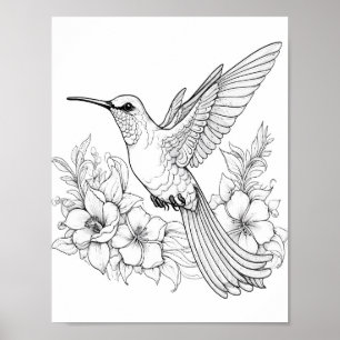 Poster Coloration adulte de colibri