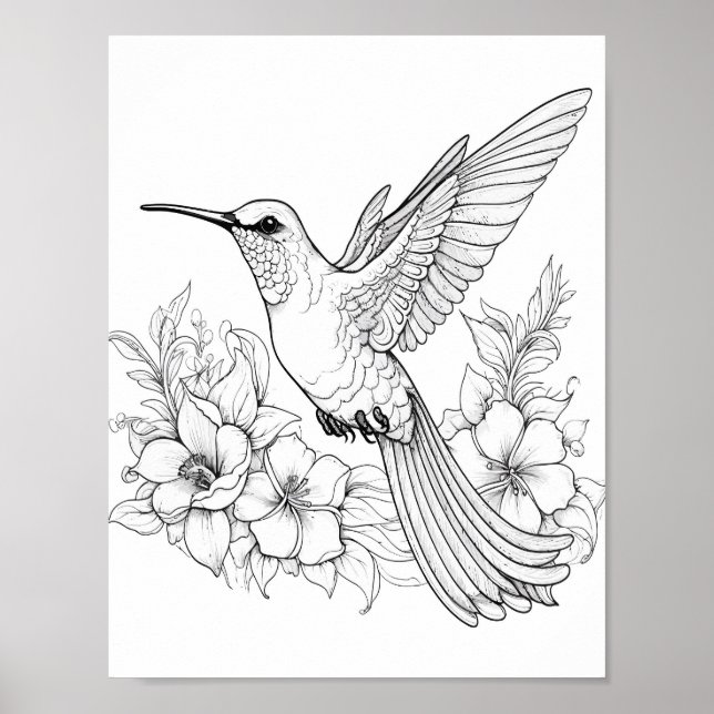 Poster Coloration adulte de colibri (Devant)