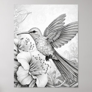 Poster Coloration adulte de colibri