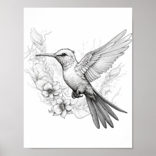 Poster Coloration adulte de colibri