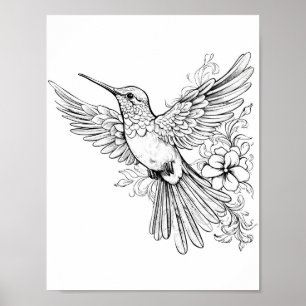 Poster Coloration adulte de colibri