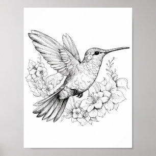 Poster Coloration adulte de colibri
