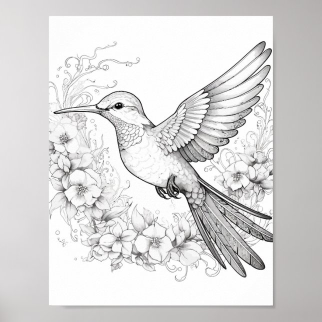 Poster Coloration adulte de colibri (Devant)