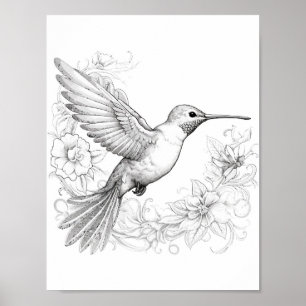 Poster Coloration adulte de colibri