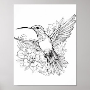 Poster Coloration adulte de colibri