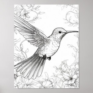 Poster Coloration adulte de colibri