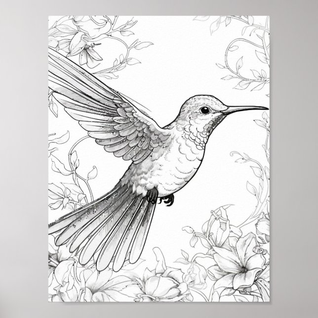 Poster Coloration adulte de colibri (Devant)