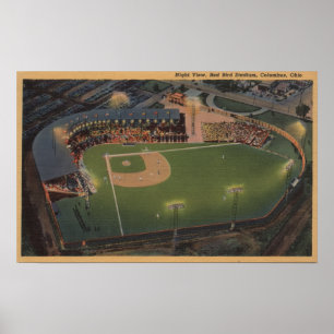 Poster Columbus, OH - antenne de base-ball rouge d'oiseau