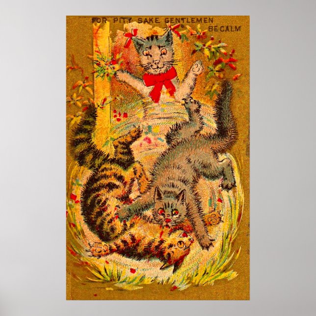 Poster combat de chat (Devant)