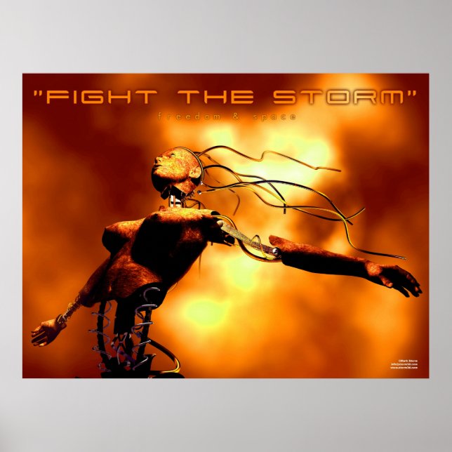 Poster Combattre la tempête (Devant)