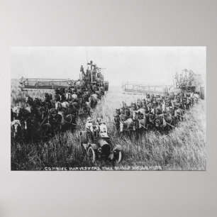 Poster Combiner la scène de moissonneuse