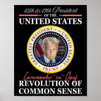 Commandant en chef de Trump 45 47 Révolution de