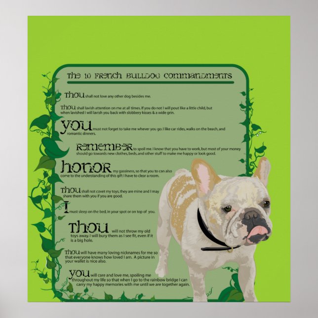 Poster Commandements français de Bulldog (Devant)