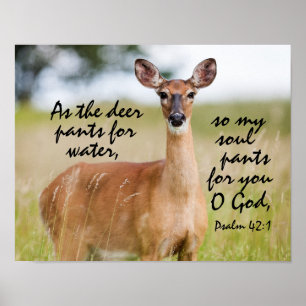 Poster Comme le pantalon de cerf pour l'eau Bible Verse P