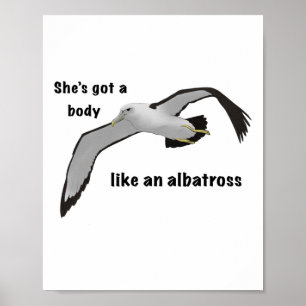 Poster Comme Un Sticker En Albatros