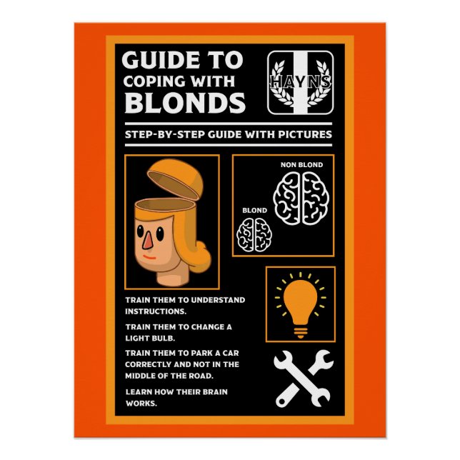 Poster Comment Comprendre Les Blondes (Devant)