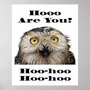 Poster Comment Es-Tu ? Owl Qui Êtes-Vous ?