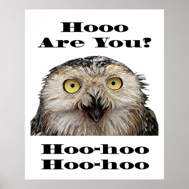 Poster Comment Es-Tu ? Owl Qui Êtes-Vous ? (Devant)