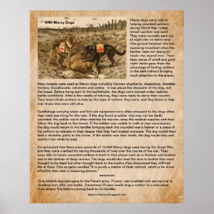 Poster Comment les chiens de pitié ont sauvé les soldats 