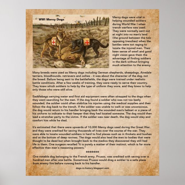 Poster Comment les chiens de pitié ont sauvé les soldats  (Devant)