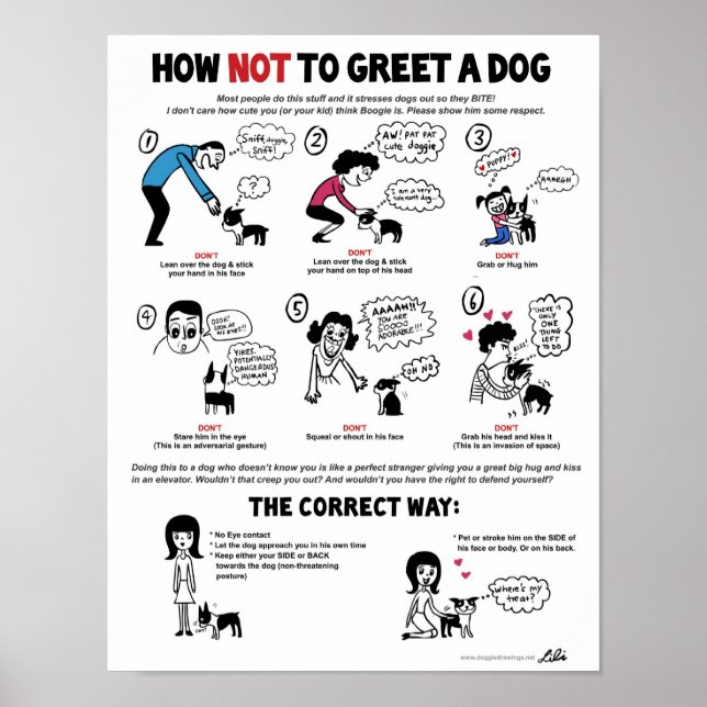 Poster Comment Ne Pas Accueillir Un Chien (11" x 14") Ami (Devant)