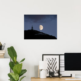 Poster Compagnon solitaire