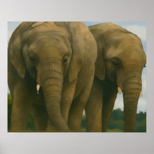 Poster Compagnons éléphants dans la lumière de Savannah