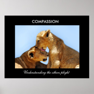 Poster Compassion avec les petits animaux perdus ses
