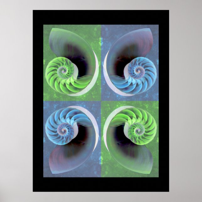 Poster Composite Nautilus (Devant)